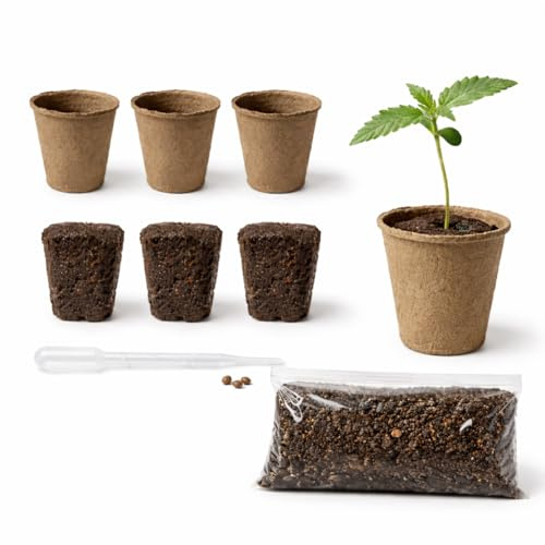Cannabis Anbau Starter-Kit/Set für drei Gras/-Weed Pflanzen inkl. Anbauanleitung und Zubehör (3x Girl Scout Cookies Auto)