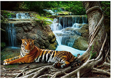 WallArena Vlies Fototapete, Tiger, 104x70cm