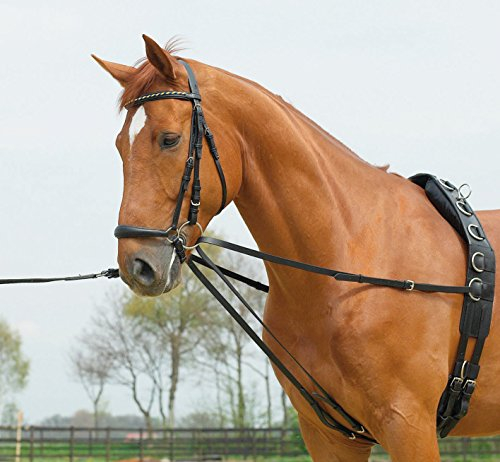 Busse Standard