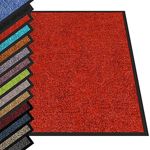 casa pura Tapis Entrée sous Porte Rhine Rouge,Paillasson Absorbant Lavable en Machine à Laver,Enlève salissures,Dos en TPE Durable et antidérapant,Passe sous la Porte 7 mm d'épaisseur - 60x90 cm