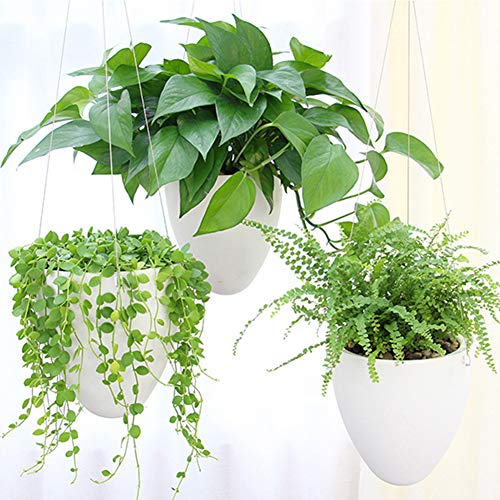 LOYUYU 3 Pack Self Watering Hanging Planter, Succulent Flower Pot Air Plant Holder, Unique Eggshell Hanging Succulent Flower Pots, Home Garden Office Indoor Decorative Container Matte White