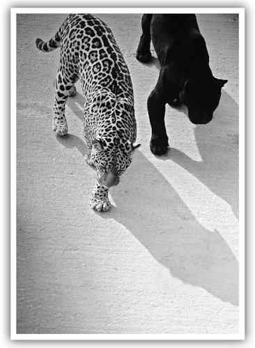 Modische schwarz-weiße Wandkunst-Dekoration, Vintage-Gepard und Jaguar, Wandkunst, Poster, 1950er-Jahre, Retro-Leopardenmuster, Leinwand, einzigartiges Tierbild für Bar, Wagen, Wohnheim, Wohnzimmer,