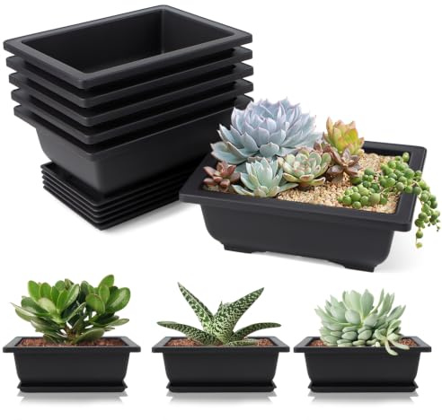 YCSM-IOU 6 Stück Bonsaischale Bonsai Schale mit Untersetzer Klein | Bonsai Topf Pflanzenschale Wiederverwendbar BonsaiTrainingstöpfe mit Tablett Blumentopf für Garten Pflanzen Hof Wohnen Zimmer
