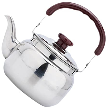 BESPORTBLE Bollitore in acciaio inox da 750 ml, a fischio, a forma di teiera vintage con manico, per cucina, escursioni, picnic, campeggio, a gas, argento