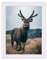 Rahmendesign24 Posterrahmen Fiona 40x60 Weiß (matt) Fotorahmen, Wechselrahmen, Bilderrahmen