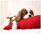 Qisan Gaming Mouse Pad/Mat for Computer Laptop 10.23x8.26x0.08 Keyboard Pad Desk Pad with Anti-slip Rubber Base Rectangle Mouse Pad Mat-Little Dog
