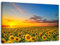 Feeby, Leinwandbild, Bilder, Wand Bild, Wandbilder, Kunstdruck 40x60cm, Wiese, Blumen, Sonnenblume, Himmel, Natur, Landschaft, GELB