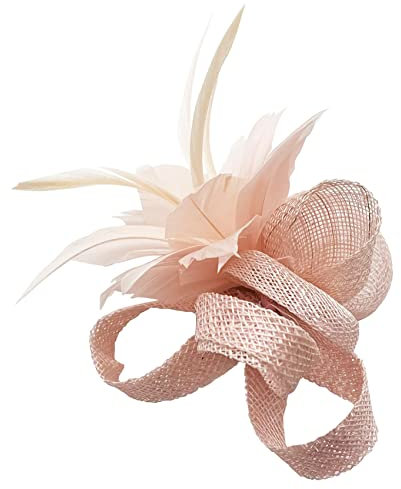 Finecy In New Women Ladies Small Flower Feather Fascinator Brooch Clip Party Royal Ascot Wedding Race Pale Pink