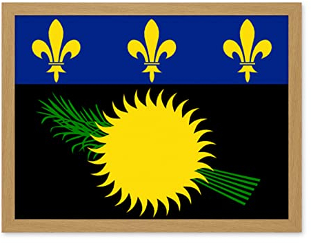 Artery8 Guadeloupe National Flag Patriotic Vexillology World Flags Country Region Poster Artwork Framed Wall Art Print 18X24 Inch