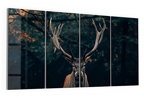 DEQORI Glasbilder Echtglas | Motiv Elch im Teutoburger Wald | horizontal 4-teilig 120x60 cm | große XXL Deko | Wandbilder für Wohnzimmer, Schlafzimmer, Flur & Küche | moderne Wanddeko
