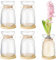 FoldTier Hyazinthen-Glasvase mit Bambus-Untersetzer, Seil, Hyazinthen-Avocado-Wachstumsvase, dekorative Glas-Blumenvasen für Tafelaufsätze, Blumenzwiebeln, Pflanzenbehälter, Heimbüro, Tischdekoration,