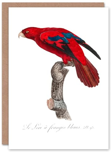 Artery8 Francois Levaillant Art Card The Blue Fringed Red Lori Parrot