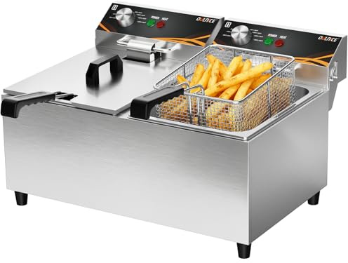 DULNICE 16L Friteuse Électrique Professionnelle avec Thermostat 60-200°C