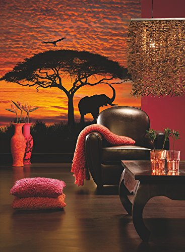 Photo Murale, 194cm x 270cm, Coucher Soleil Africain