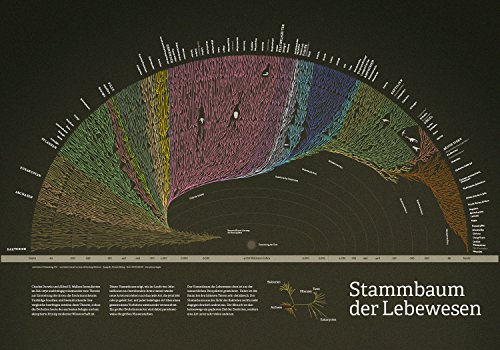 Stammbaum der Lebewesen 100 x 70 cm