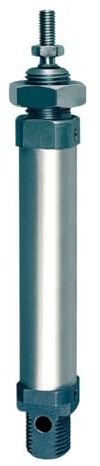 RIEGLER 105755-1.DM.08080 Rundzylinder, doppeltwirkend, Magnet, Kolben-Ø 8, Hub 80, M5, 1Stk