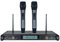 W Audio DTM 800H Twin Handheld Wireless Mic Sytem (863.0Mhz-865.0Mhz)