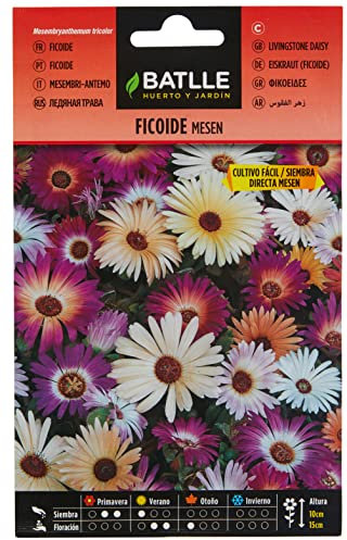 Semillas Batlle Ficoide - Messen