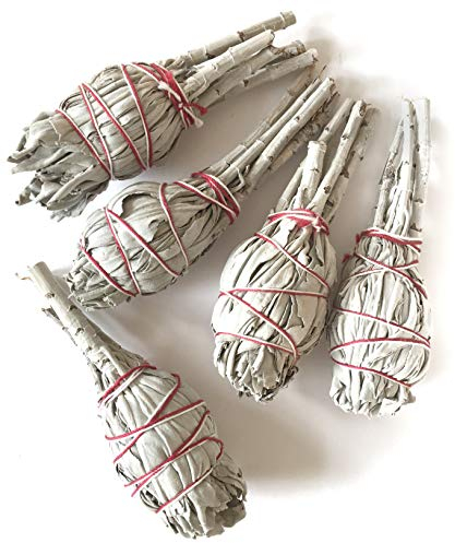 Farbenwald - Weißer Salbei, 5 Fackeln zum Räuchern, rd. 11cm lang, aus Kalifornien, Smudge Sticks, Salvia Apiana, Räucherwerk