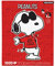 AQUARIUS Peanuts Joe Cool Shaped Puzzle (1000 Piece Jigsaw Puzzle) - Glare Free - Precision Fit - Virtually No Puzzle Dust - Officially Licensed Peanuts Joe Cool Collectibles - 18x28 Inches