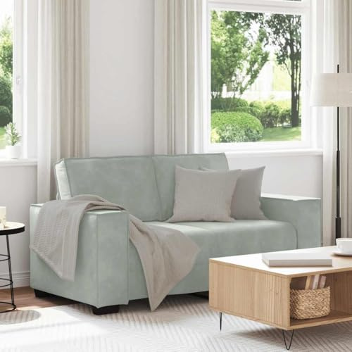 GeenYuu 2-Sitzer-Sofa Hellgrau, 120 cm Samtstoff, Bequeme Polsterung, robuste Holz-Metall-Konstruktion, breite Armlehnen für Wohnzimmer, Gästezimmer, Büro