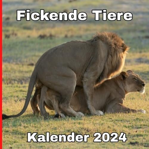 Fickende Tiere Kalender 2024: lustige Geschenke