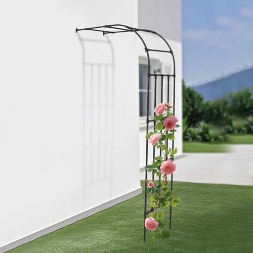 Treillis de jardin semi-circulaire en métal (120 x 260 cm) – Tuteur pour roses, clématites et plantes grimpantes – Antirouille, résistant aux intempéries, peu encombrant – Treillis pour jardin, balcon