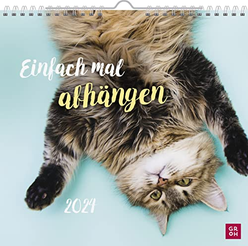 Wandkalender 2024: Einfach mal abhängen: Dekorativer Kalender zum Aufhängen mit Monatskalendarium mit süßen Tierfotos