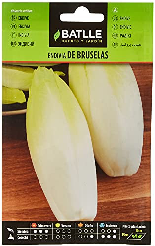 Semi di ortaggi di Batlle - Varietà di cicoria Bruxelles (semi)