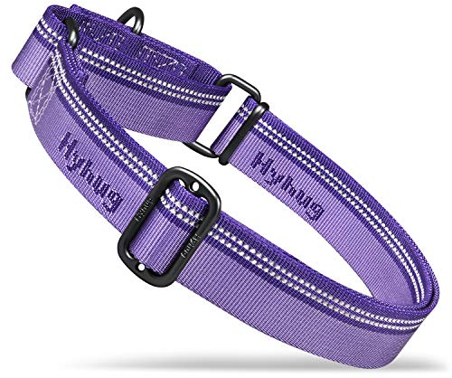 Hyhug Design, Martingale Nylon Klassische Halsbänder ,Anti-Flucht Hundehalsband. 3M Reflektierender Streifen, Sicherer Nachtspaziergang, Hunde-ID-Tag-Montageloch (Groß, Paisley Lila)