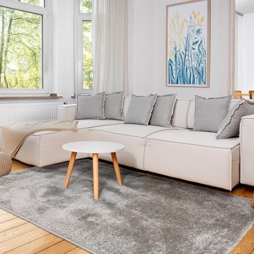 Astra Hochwertiger Teppich Wohnzimmer, Schlafzimmer - Kuscheliger Kurzflorteppich weich - Einfarbiges Flachgewebe für Innen - Teppich Grau, 120 x 180 cm