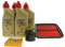 Wartungs-Set Motoröl 10W-40, Ölfilter, Luftfilter und Zündkerzen für Suzuki GSF 600 Bandit