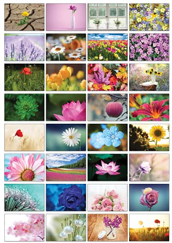 Nature Selection Cartes postales : 32 cartes postales différentes avec différents thèmes naturels (belles fleurs)