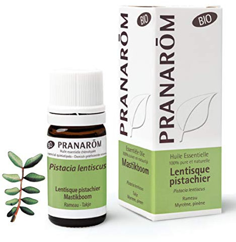 Pranarom Huile Essentielle Lentisque Pistachier Bio Pistacia lentiscus Rameau 5ml