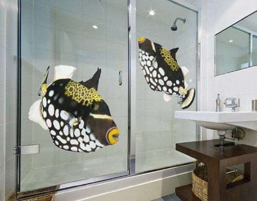 Apalis Fenstersticker No.615 Clown Triggerfish Set 140x54cm Wandtattoo Fisch Clown, Größe:54cm x 140cm