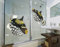 Apalis Fenstersticker No.615 Clown Triggerfish Set 140x54cm Wandtattoo Fisch Clown, Größe:54cm x 140cm