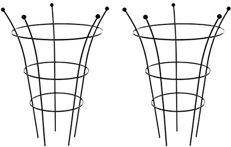 RUDDINGS WOOD Pack of 2 x Medium Heavy Duty 5 Leg Peony Herbaceous Plant Supports 65cm high x 42cm diameter Garden Perennial Flower Plant Border Cage Frame