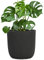 Pflanzwerk® Pflanzkübel Cup - Blumentöpfe Übertöpfe 27cm Ø ANTHRAZIT *Frostbeständige Blumenkübel* *UV-Schutz* *Pflanzenkübel Premiumqualität*
