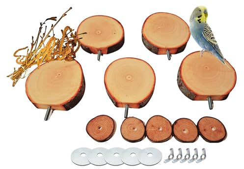 5 Vogel Sitzstangen Käfig Natur Sitzbretter Wellensittich Kanarienvogel, Nymphensittich... Vogelkäfige Sitzhilfe frisch aus der Natur