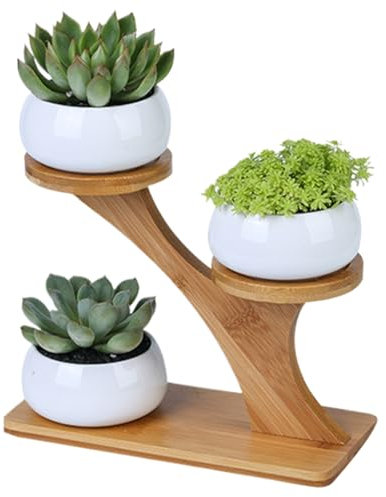 Cactus pot 3 pcs Pots succulents avec support de plante à 3 niveaux, petits pots de plante en céramique ronds avec drainage jardinières succulentes avec support bambou pour le style décoration