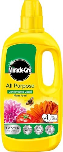 Miracle Gro All Purpose Plant Food Concentrate 800ml Indoor Outdoor Fertiliser for Flowers, Veg Houseplants Promotes Growth, Strong Roots, Blooms Garden Liquid Feed Yellow - 1 Pack (800ml)