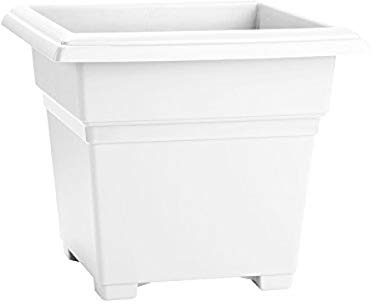 Root & Vessel Countryside Square Tub Planter, White, 14-Inch