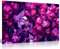 Viola fiori lilla per home tela da parete stampa, Purple, A0 91x61cm (36x24in)