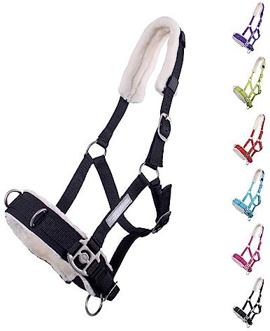 NETPROSHOP Kappzaum Longierhilfe für Bodenarbeit Shetty, Pony, Cob, Full, Groesse:Pony, Farbe:Schwarz