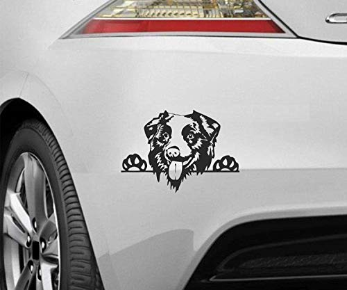 myrockshirt Peeking Dog Spähender Hund Australian Shepherd hechelnd ca.20cm Aufkleber,Sticker,Decal,Autoaufkleber,UV&Waschanlagenfest,Profi-Qualität,Wandtattoo