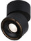 Paulmann 93371 LED Einbauleuchte Deckenleuchte Spircle 78mm incl. 1x8,0 W Warmweiß Schwarz matt Aufbauleuchte Aluminium Deckenleuchte 3000 K