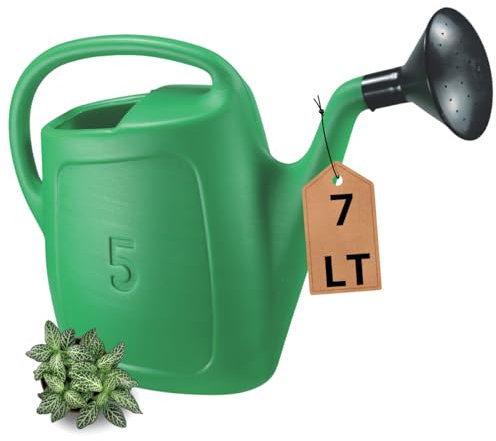 Tomaino - Annaffiatoio 7 Litri - Innaffiatoio Giardino Con Diffusore in Plastica - Impugnatura Comoda con Beccuccio Lungo (7 lt)