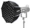 NEEWER 45cm Octagon Softbox, Bowens Mount Achteckige Softbox mit Honeycomb Gitter, Tasche für RGB CB60 CB60B CB200B MS60B MS60C MS150B S101-300W/400W Pro Vision 4 Q4, NS21P