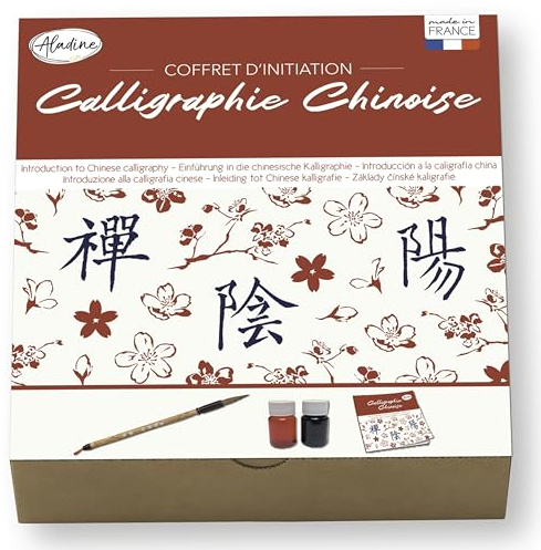 Aladine - Kit d’Initiation à la Calligraphie Chinoise - Pinceau, 2 Encres & Cahier d’Écriture - Apprentissage Idéogrammes Caractères Chinois - Adulte & Enfant - Loisirs Créatifs - 85517