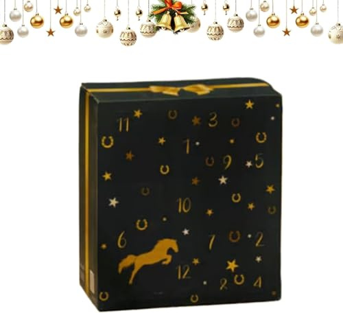 Adventskalender 2025 – Winterhimmel Design Pferd Countdown Kalender mit 24 Tagen Pferde Geschenke und Überraschungen | Ein toller für Pferdebesitzer, Reiter und Ställe (Schwarz)
